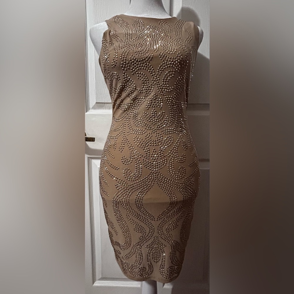 Elegant Nude Studded Dress